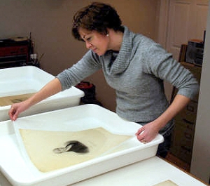 Woman inspecting old prints