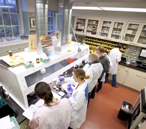 Students in the science lab