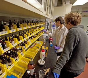 Students in the science lab